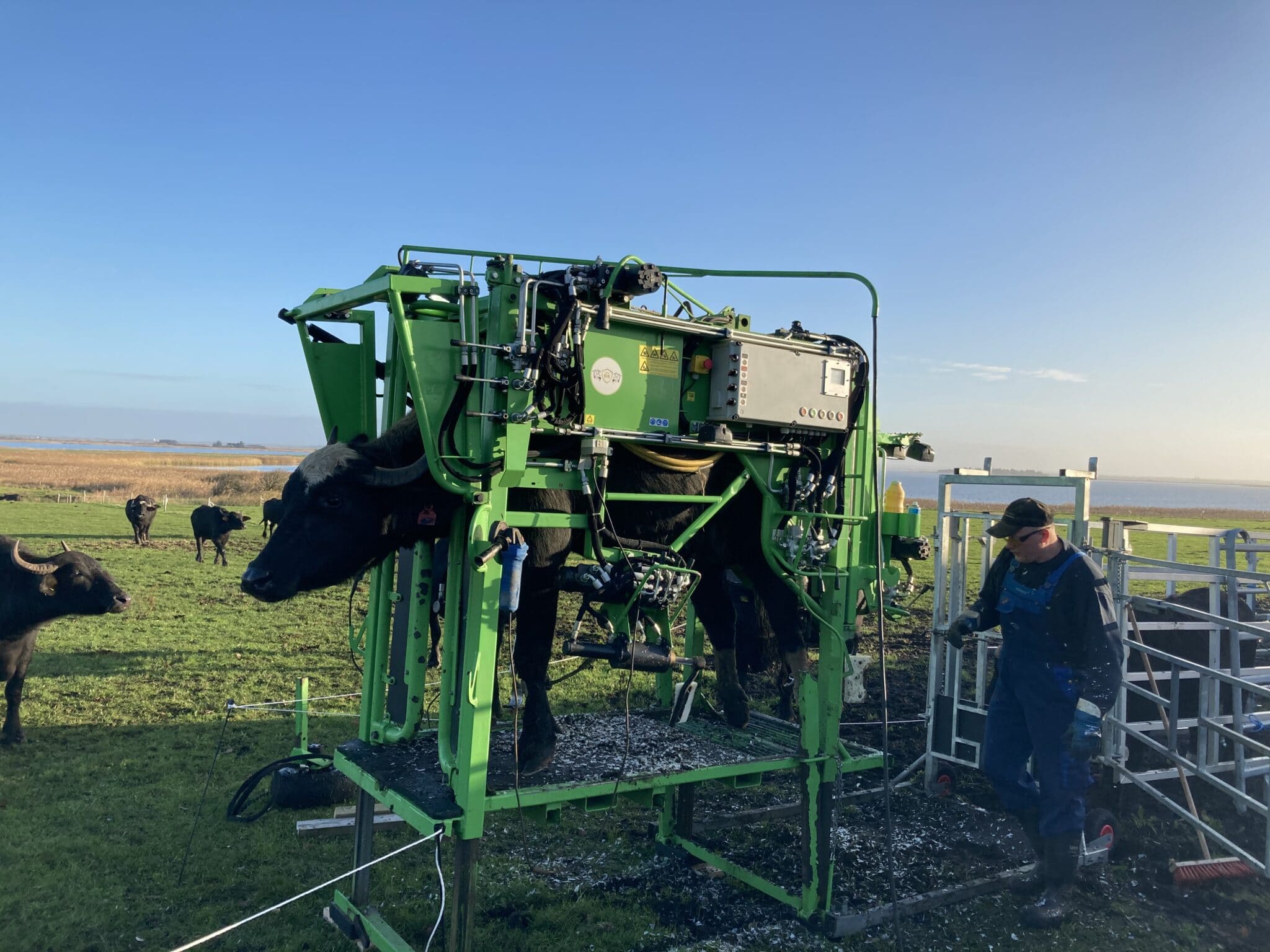 Klovbesk&aelig;rer til klovpleje og klovbesk&aelig;ring i Viborg og omegn